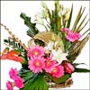 Stylish Beauty - Click here to View more details about this Product